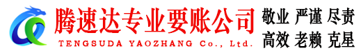 莱山收账公司